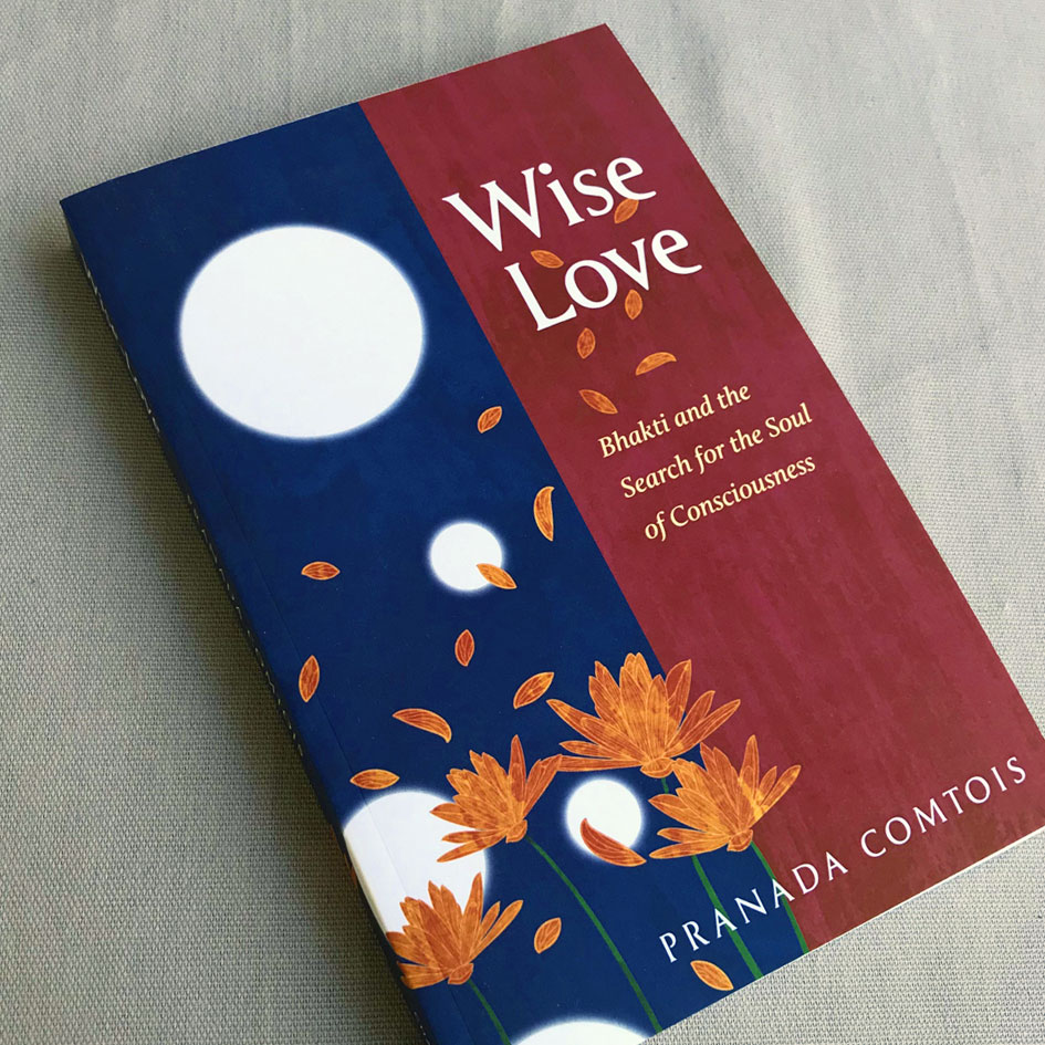 Wise Love book cover